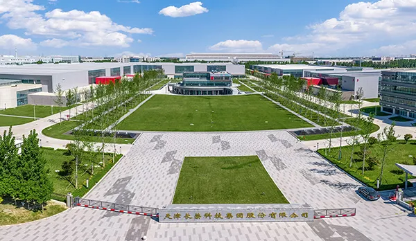 Masterwork at a Glance